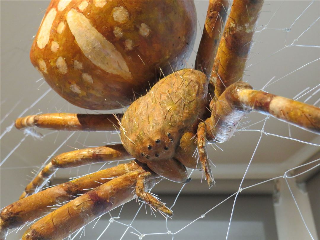 &copy; Naturwissenschaftliches Museum 