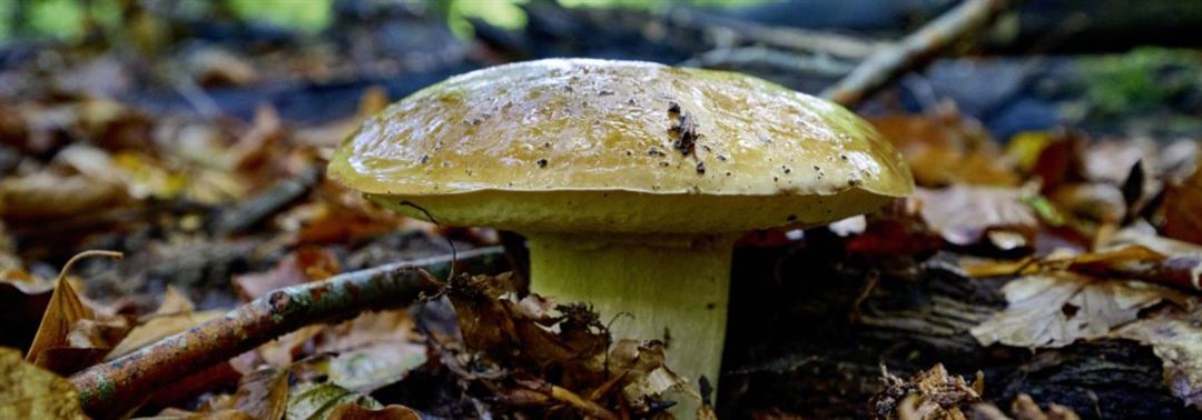 &copy;aktion-naturerlebnis.de
